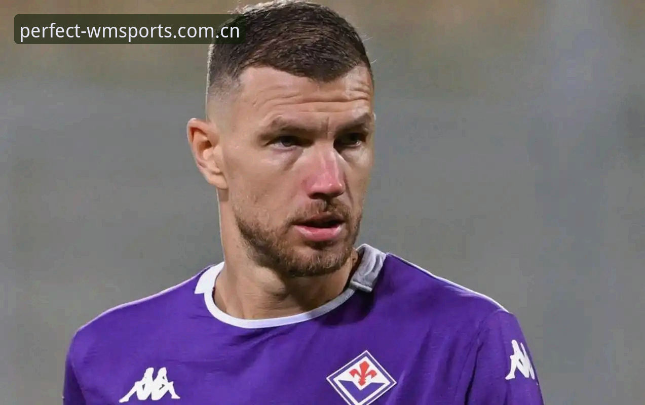 WMSPORTS怎么样 为什么哲科能带领沙尔克重返德甲?完美体育揭秘他的“第二春”密码