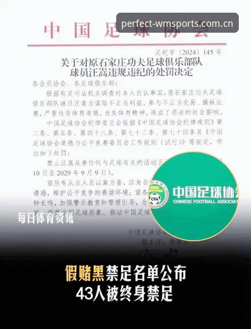 完美体育官方游戏 足球反腐数据全景指南:从完美体育平台透析第三批禁足名单的行业警示