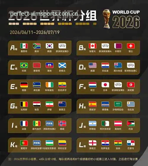2026世界杯观赛困局深度评测：签证壁垒如何影响球迷体验与平台服务应对